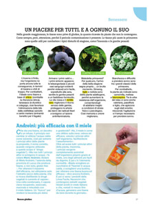 Tisane senza glutine