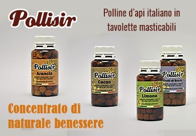 Pollisir